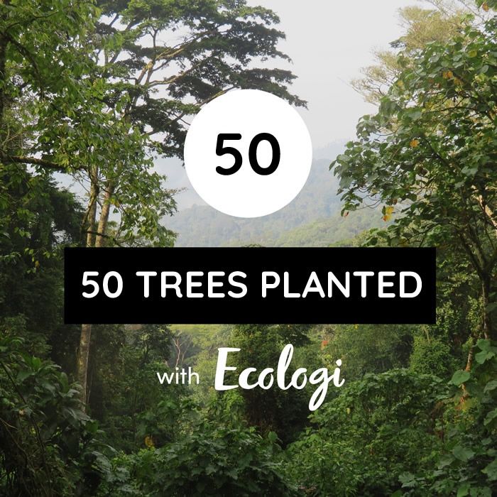 25 trees planted